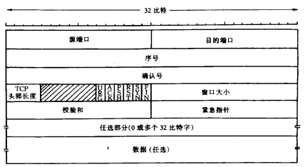 tcp段头部结构