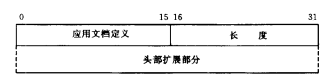 分组头部扩展格式