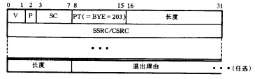 BYE分组结构