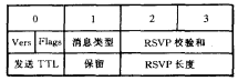 HSVP消息头部